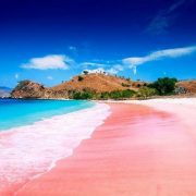 pantai pink pink beach lombok 1024x683