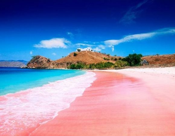 Daya Tarik Pantai Pink Lombok yang Unik