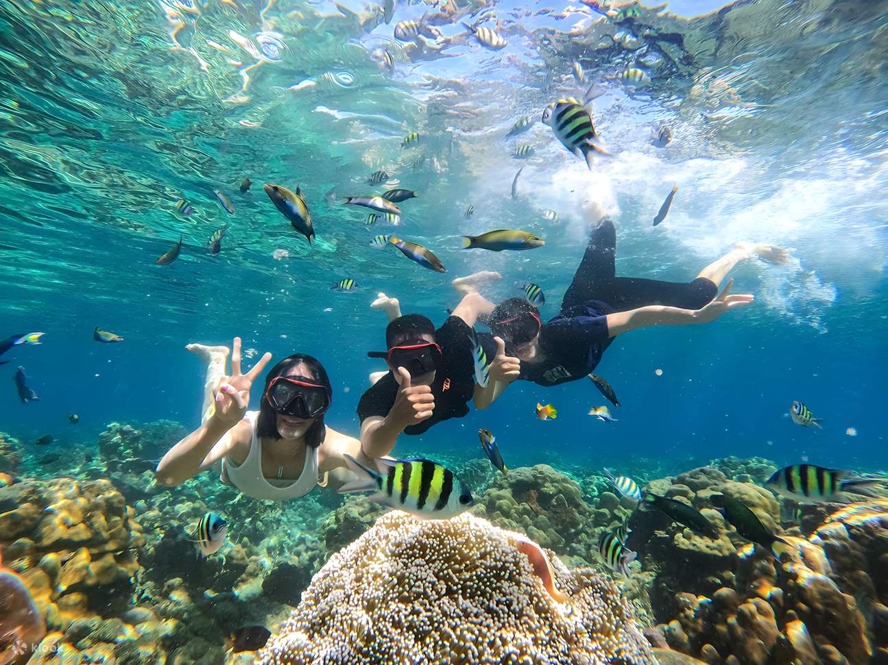 Pemandangan pantai di Lombok